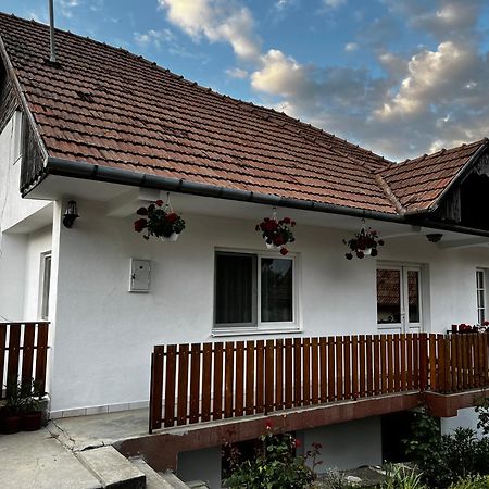 Balazs Vendeghaz Aparthotel Lupeni  Exterior photo