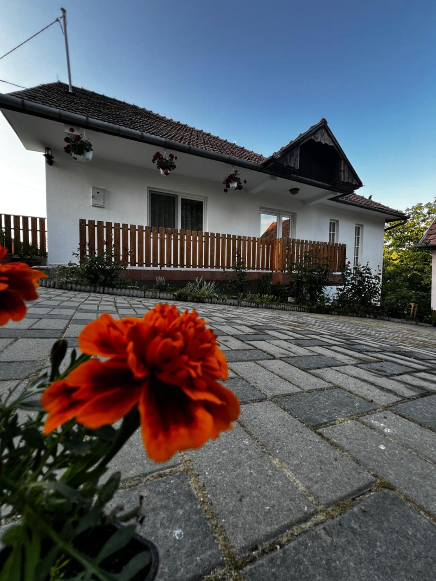 Balazs Vendeghaz Aparthotel Lupeni  Exterior photo